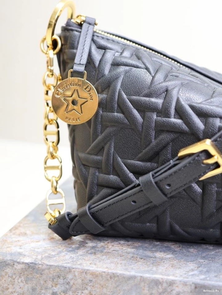 Bags Christian Other Vibrant 66669 Dior 0713
